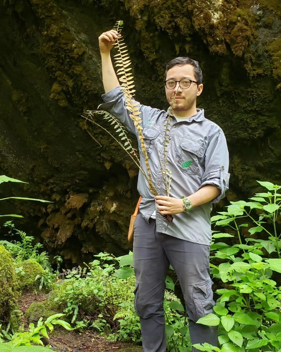 David with the fern Astrolepis laevis